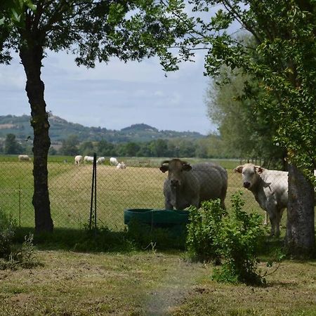 Gite A La Ferme De La Bouriette Revel  Εξωτερικό φωτογραφία