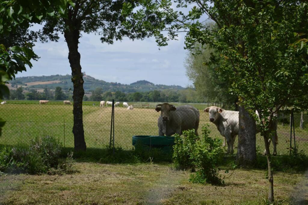 Gite A La Ferme De La Bouriette Revel  Εξωτερικό φωτογραφία
